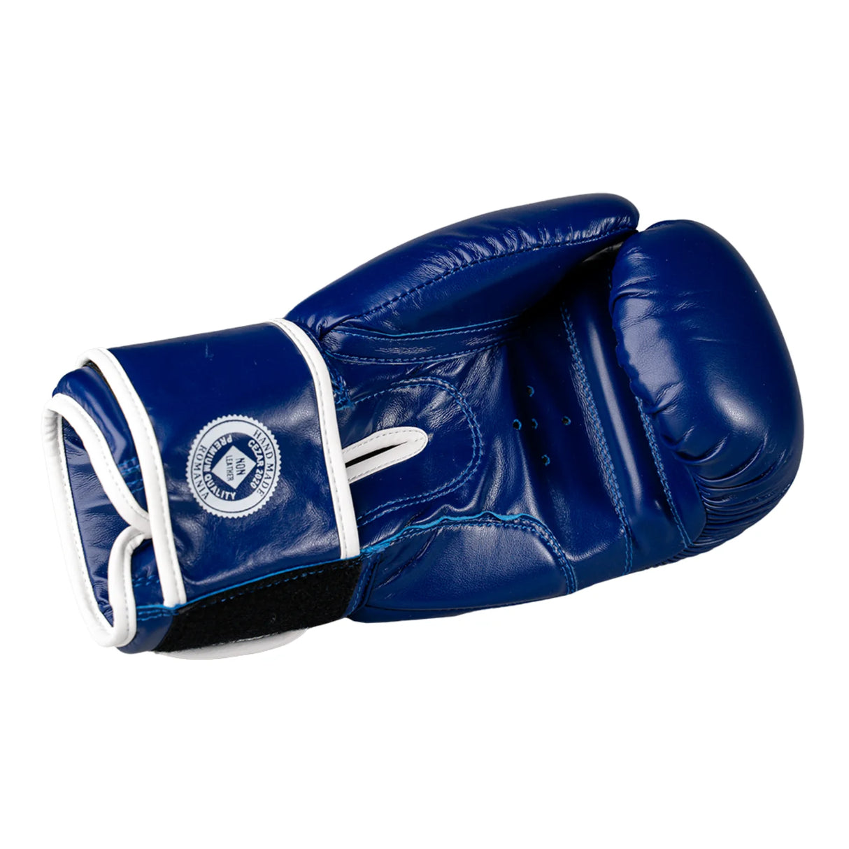 Mănuși de box Eco Basic, piele ecologică, ușoare, albastre, BOXEB-BL 4