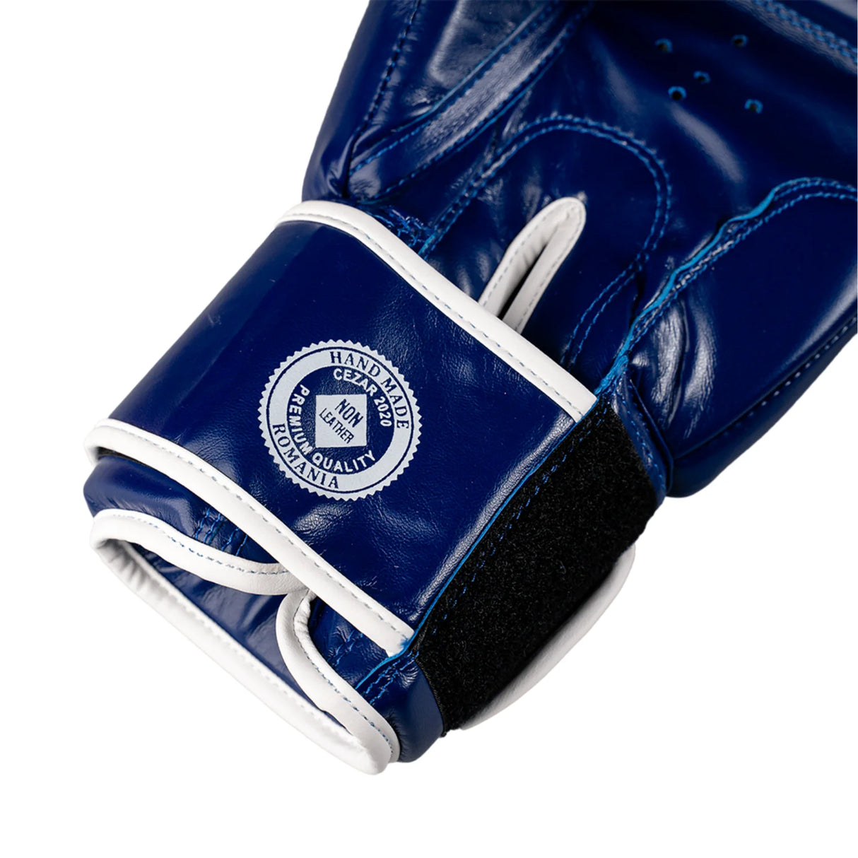 Mănuși de box Eco Basic, piele ecologică, ușoare, albastre, BOXEB-BL 5