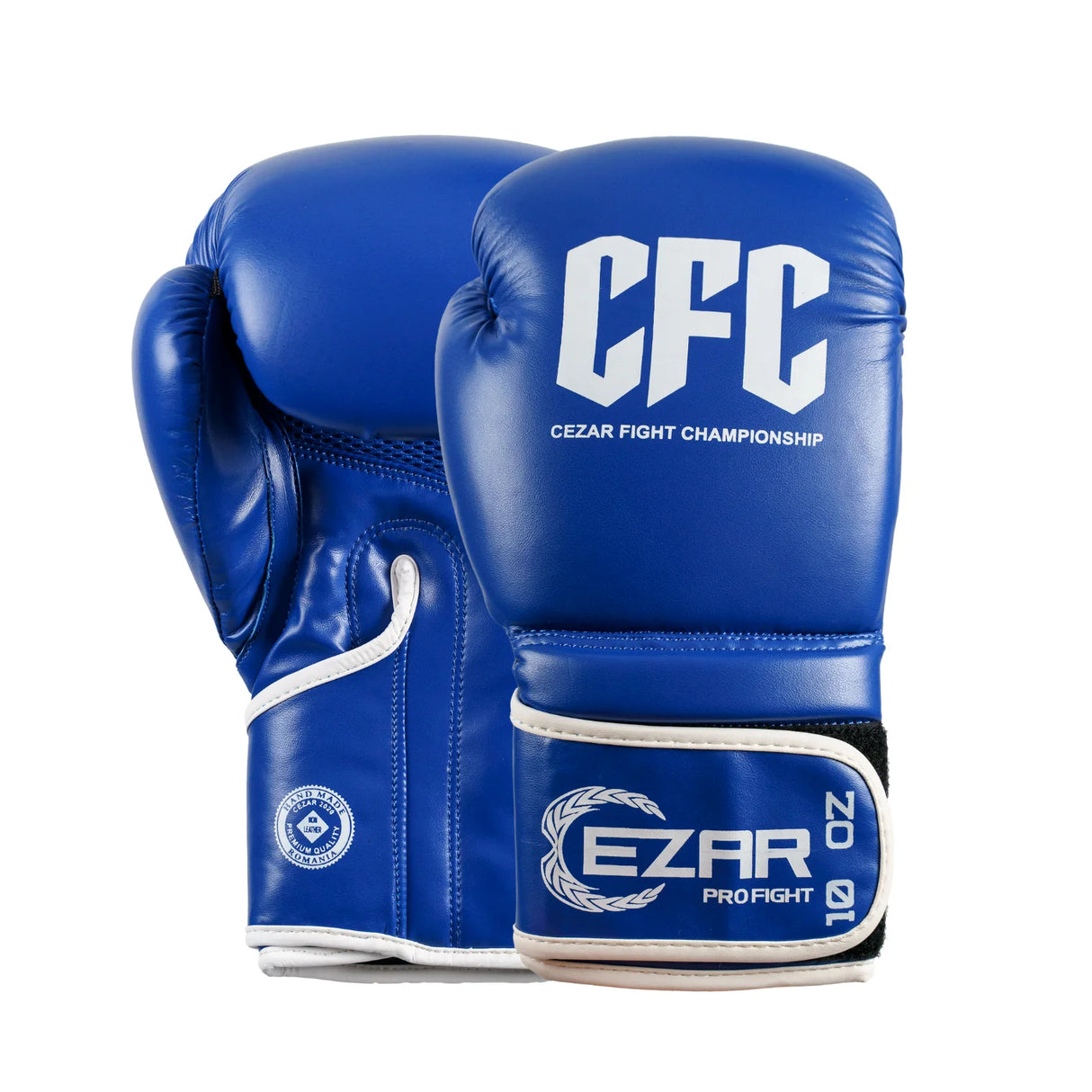 Mănuși de box Eco Basic CFC, piele ecologică, albastre, BOXEBCFC-B 1