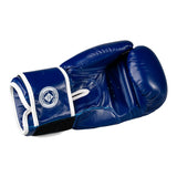 Mănuși de box Eco Basic, piele ecologică, ușoare, albastre, BOXEB-BL 4