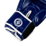 Mănuși de box Eco Basic, piele ecologică, ușoare, albastre, BOXEB-BL 5